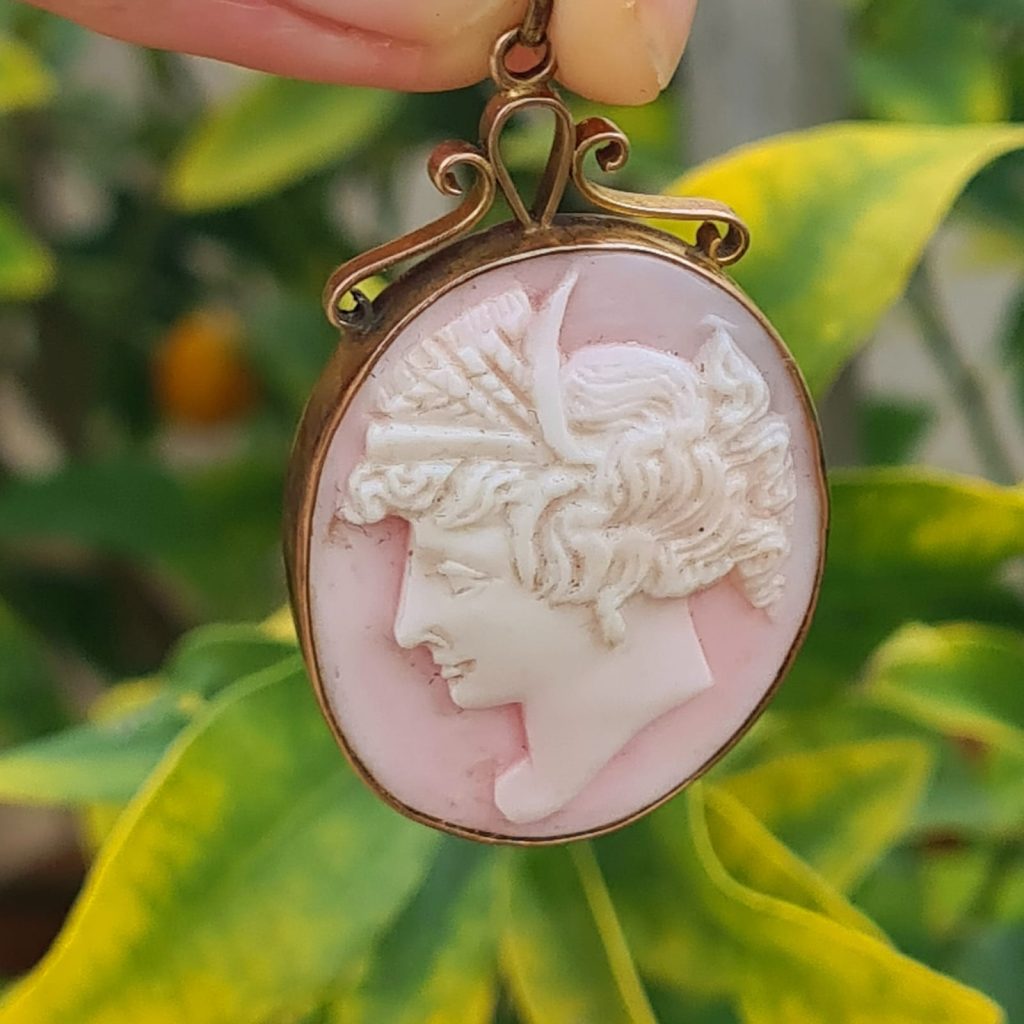 Conch shell cameo