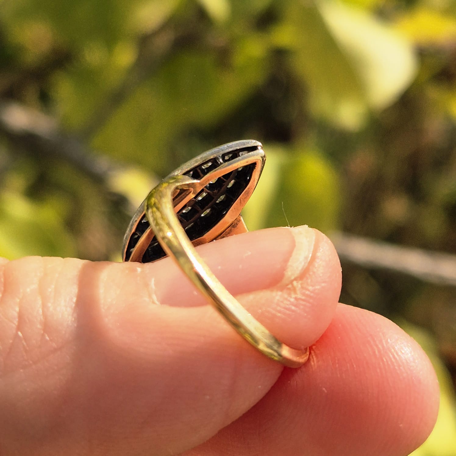 מרקיזה.jpgעי