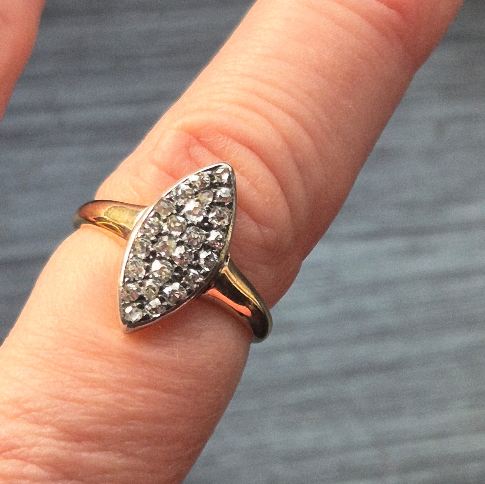 מרקיזה.jpgתקריב