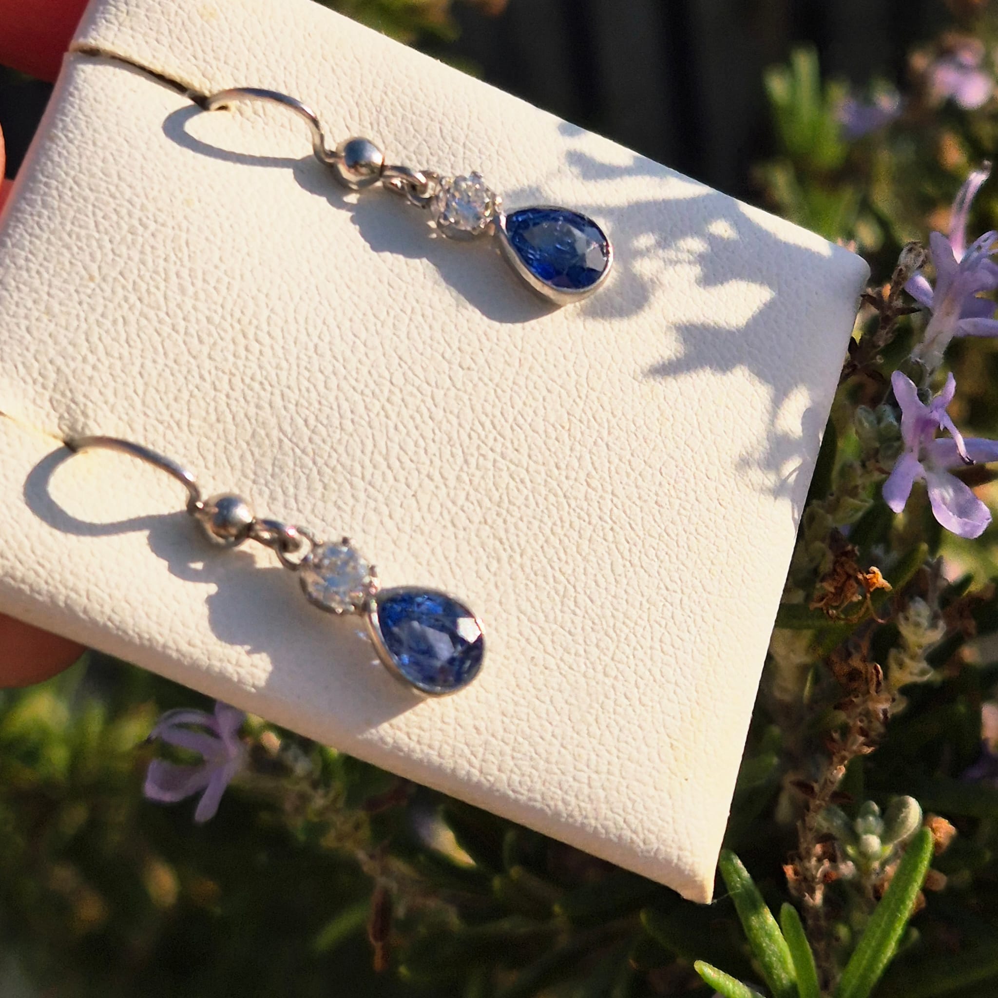 ספיריהלו.jpg4.jp8