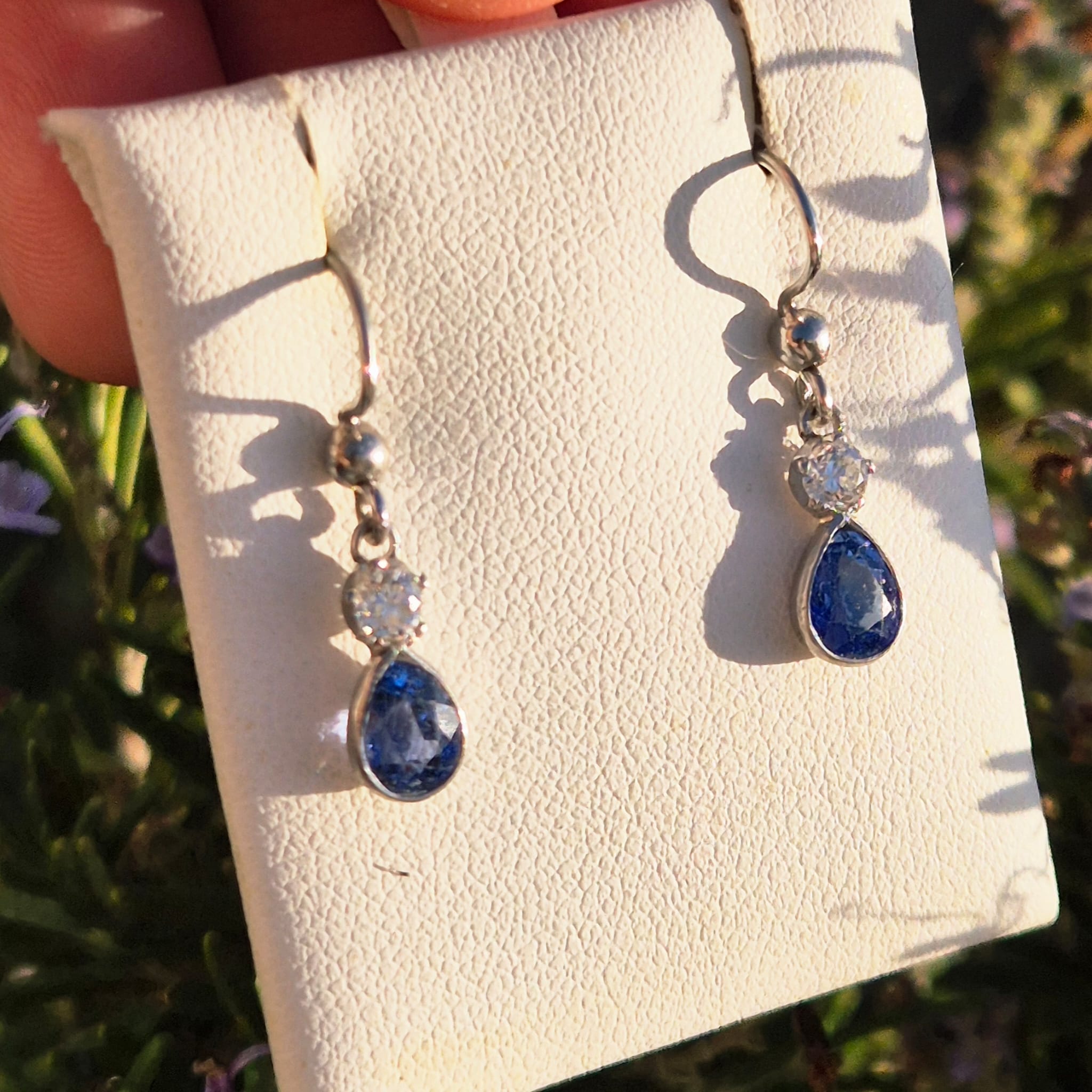 ספיריהלו.jpg7