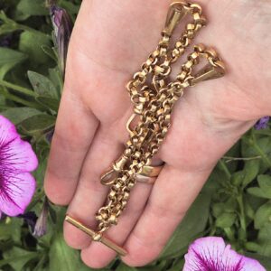 שרשרת אלברט 2 dog