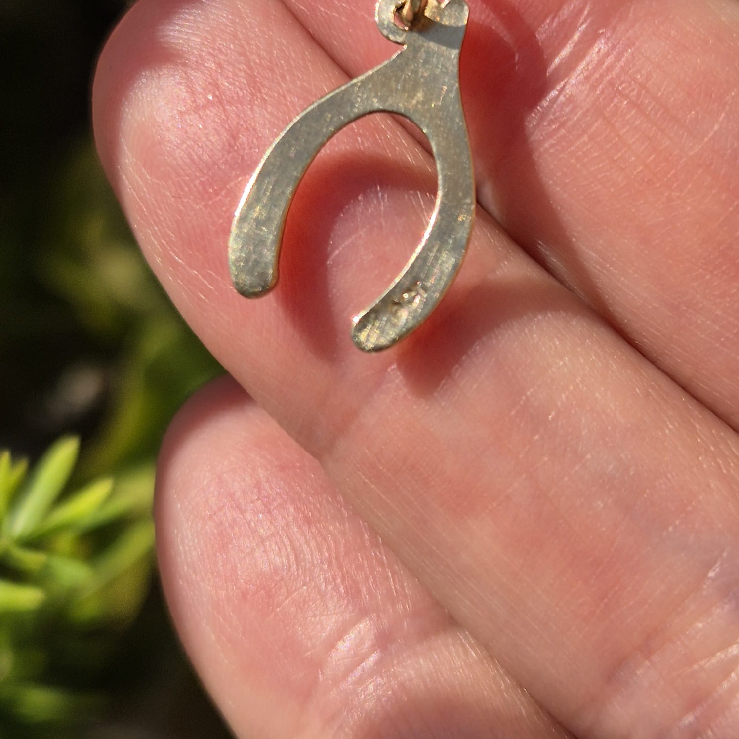 תליון wishbone מזהב – תמונה 4