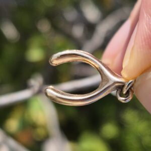 תליון wishbone מזהב