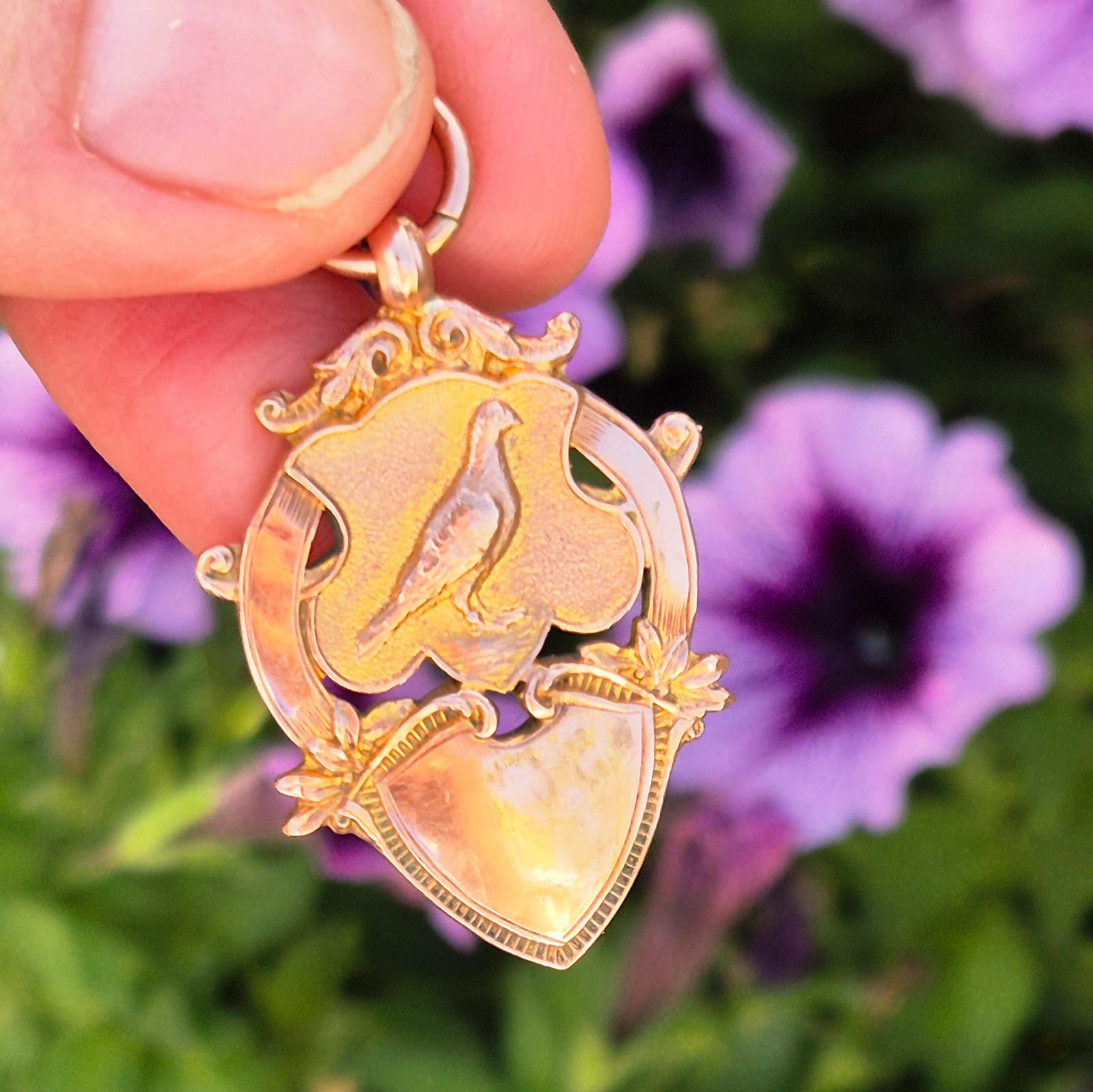 מדליון זהב יונה