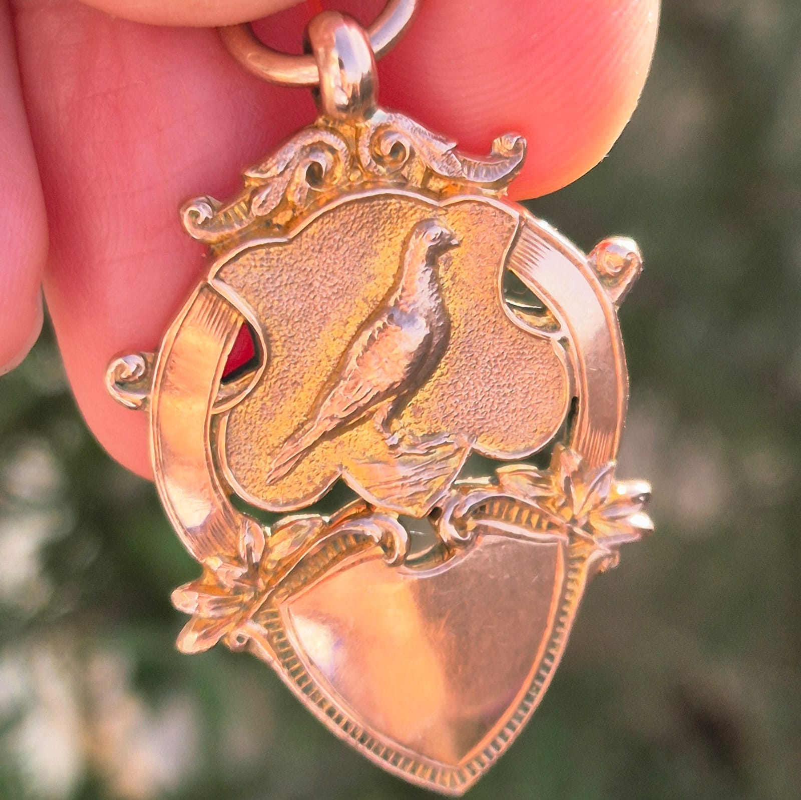 מדליון זהב יונה – תמונה 4