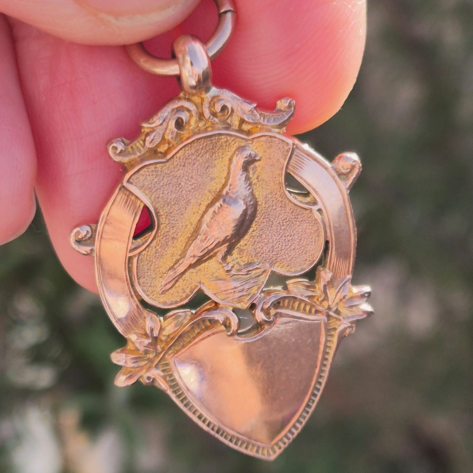 מדליון זהב יונה – תמונה 2