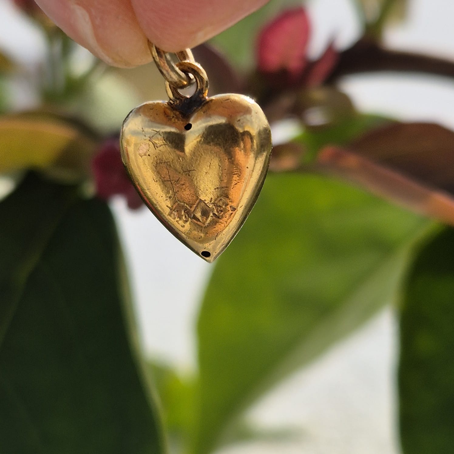 לב 15 קאראט – תמונה 5