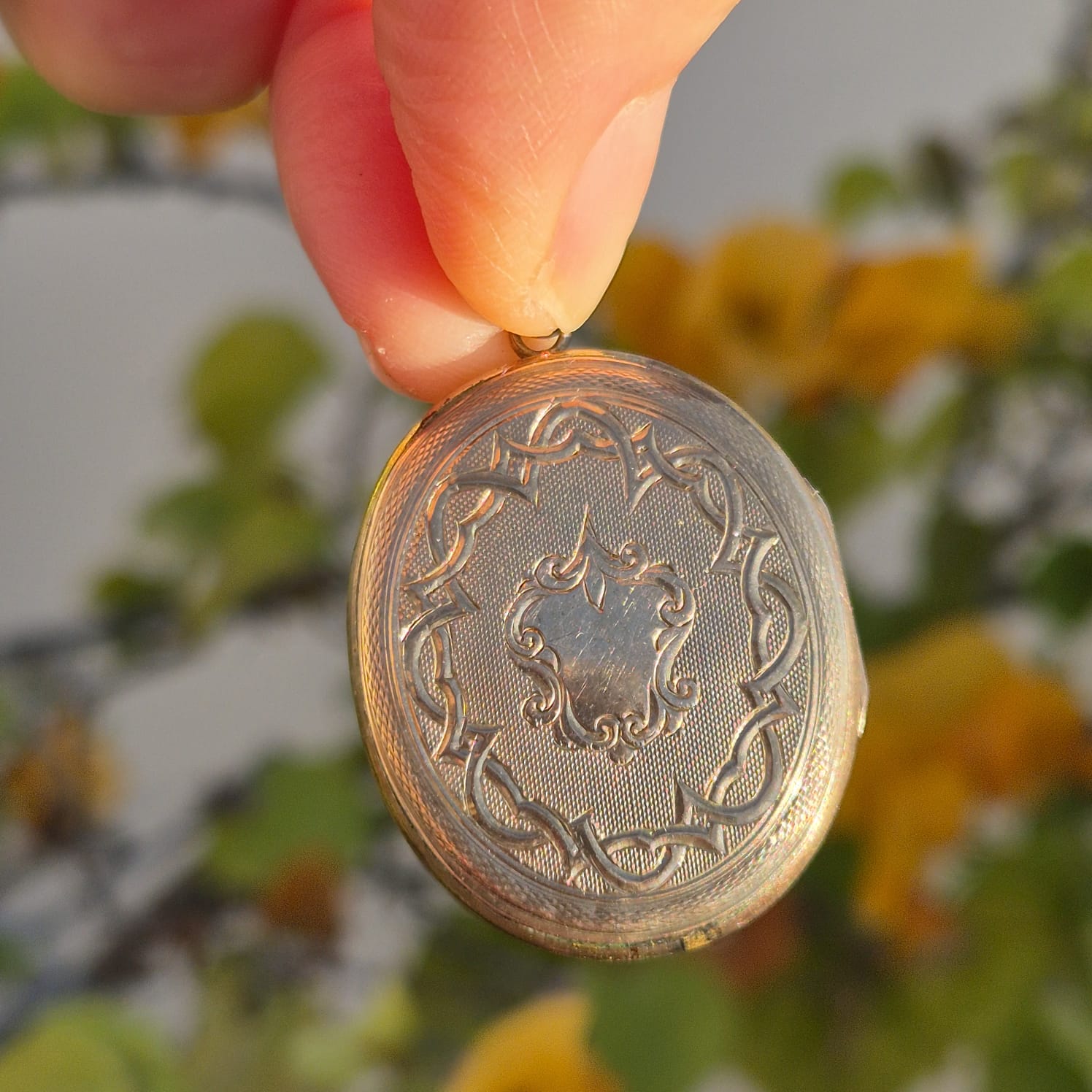 לוקט שושנת העמקים – תמונה 3