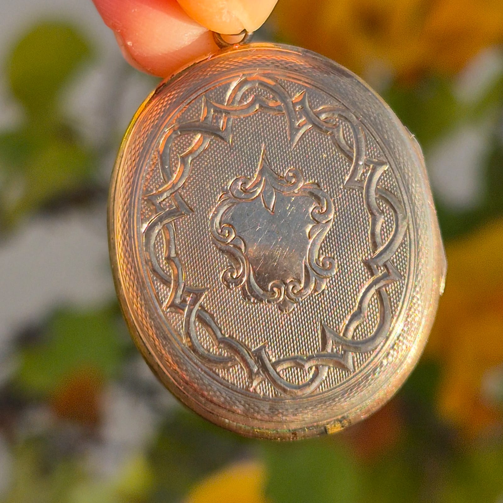 לוקט שושנת העמקים – תמונה 4