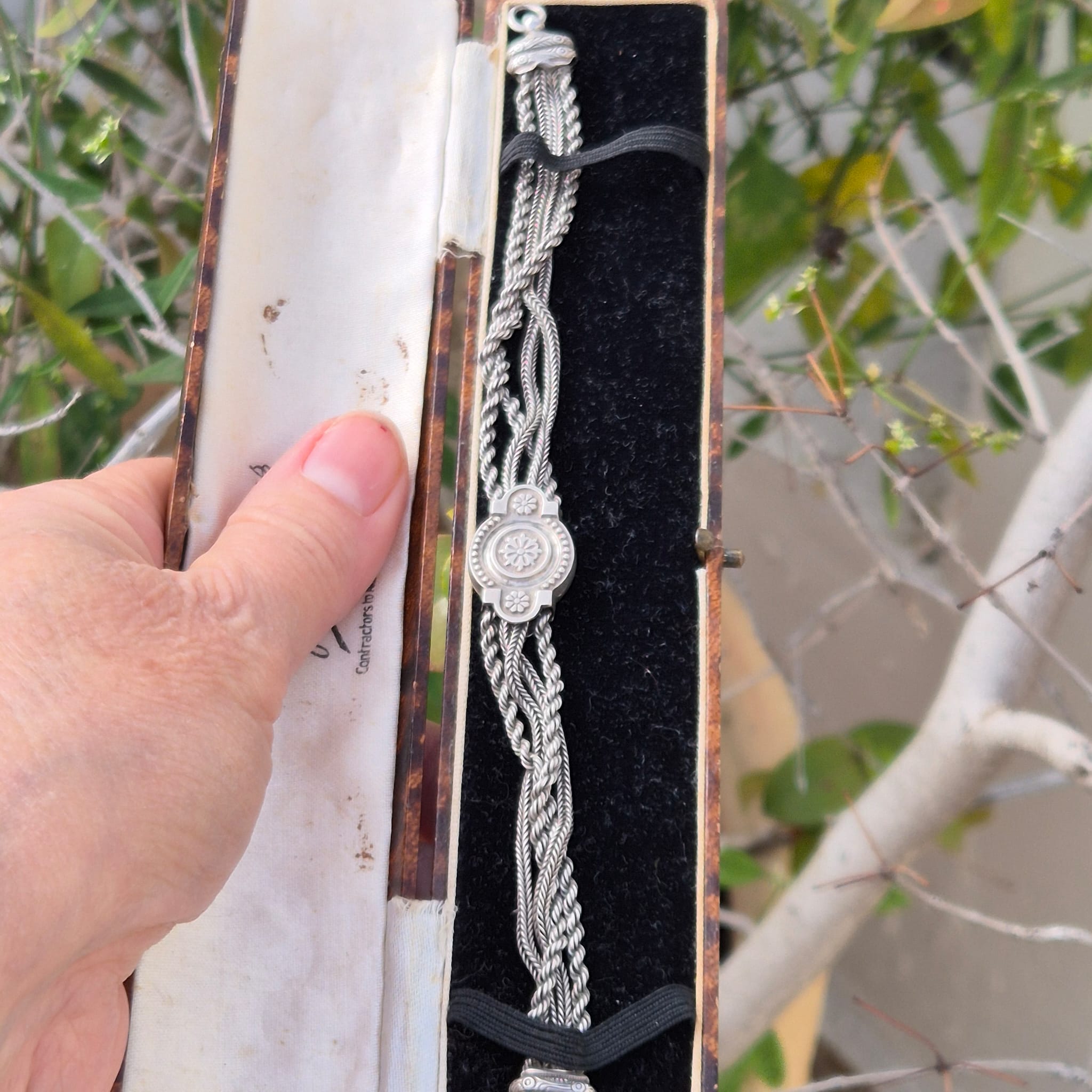 אלברטינה מכסף – תמונה 4