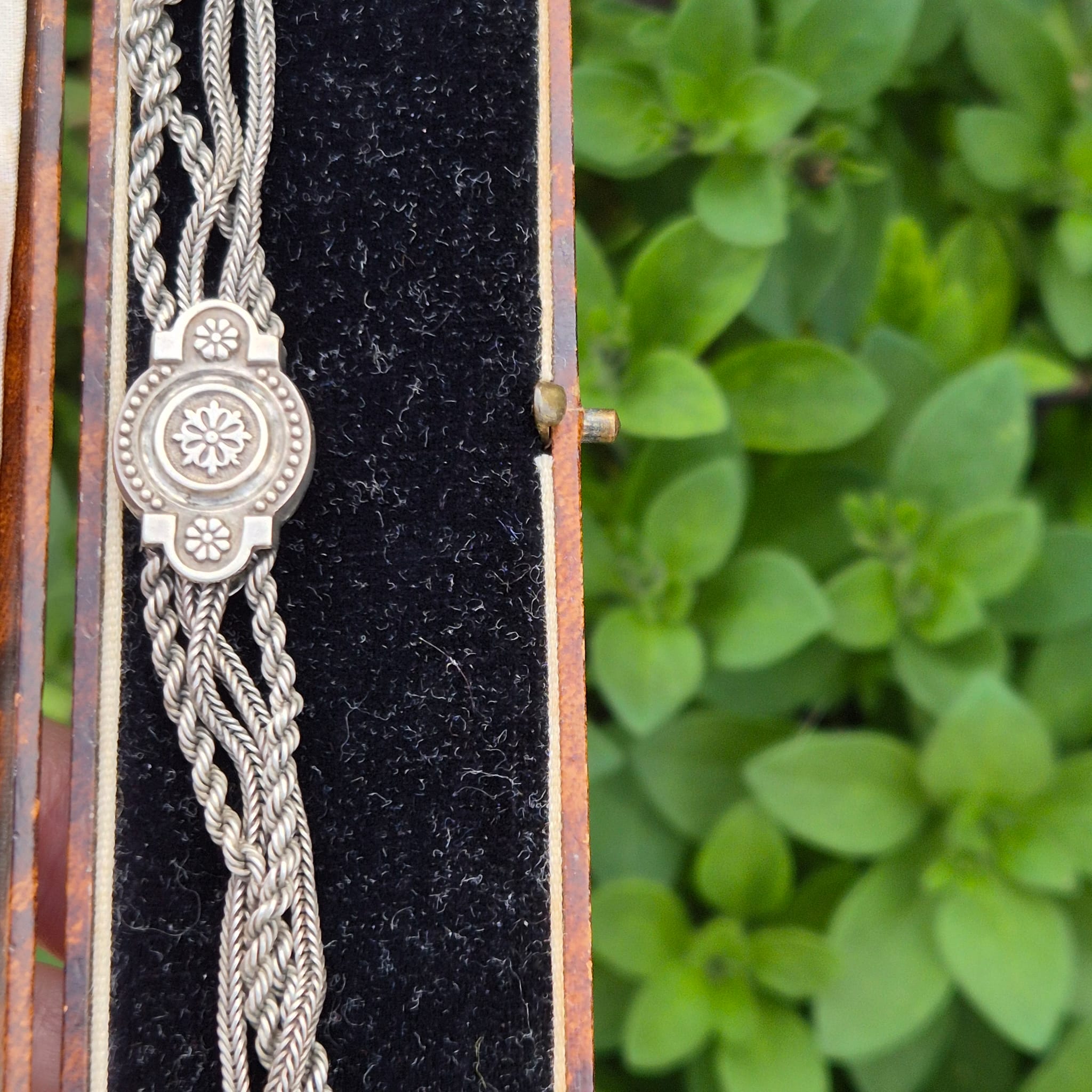 אלברטינה מכסף – תמונה 2